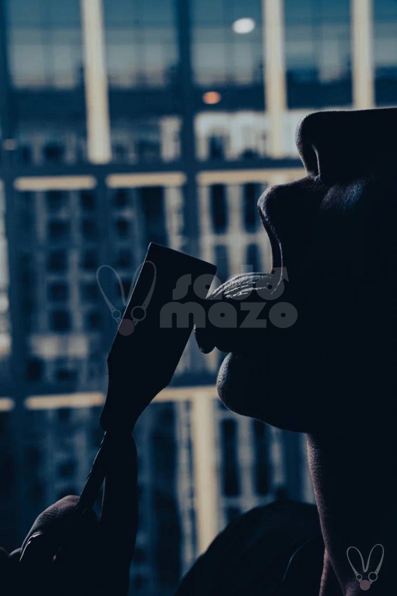 Москва (985)8602281