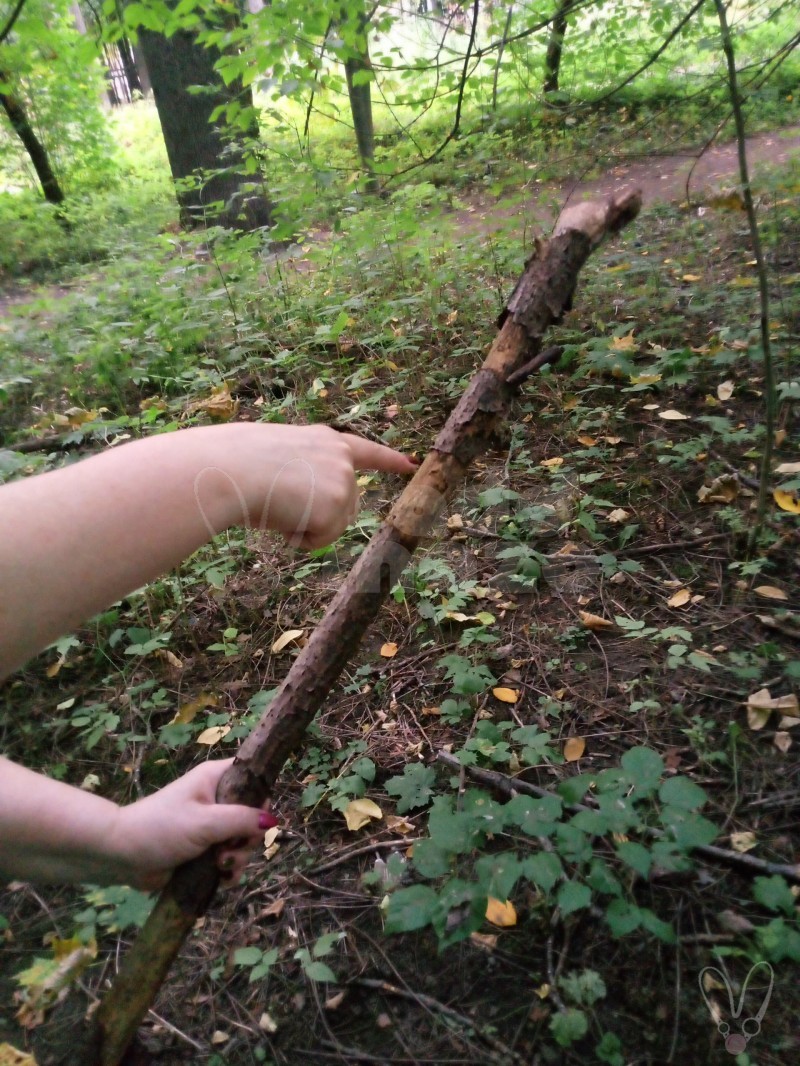 Москва (902)2593804