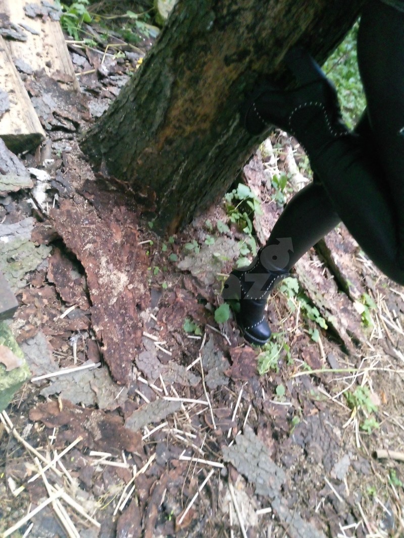 Москва (902)2593804